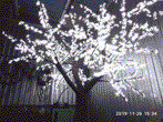 Световое дерево сакура